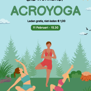 Workshop Acroyoga